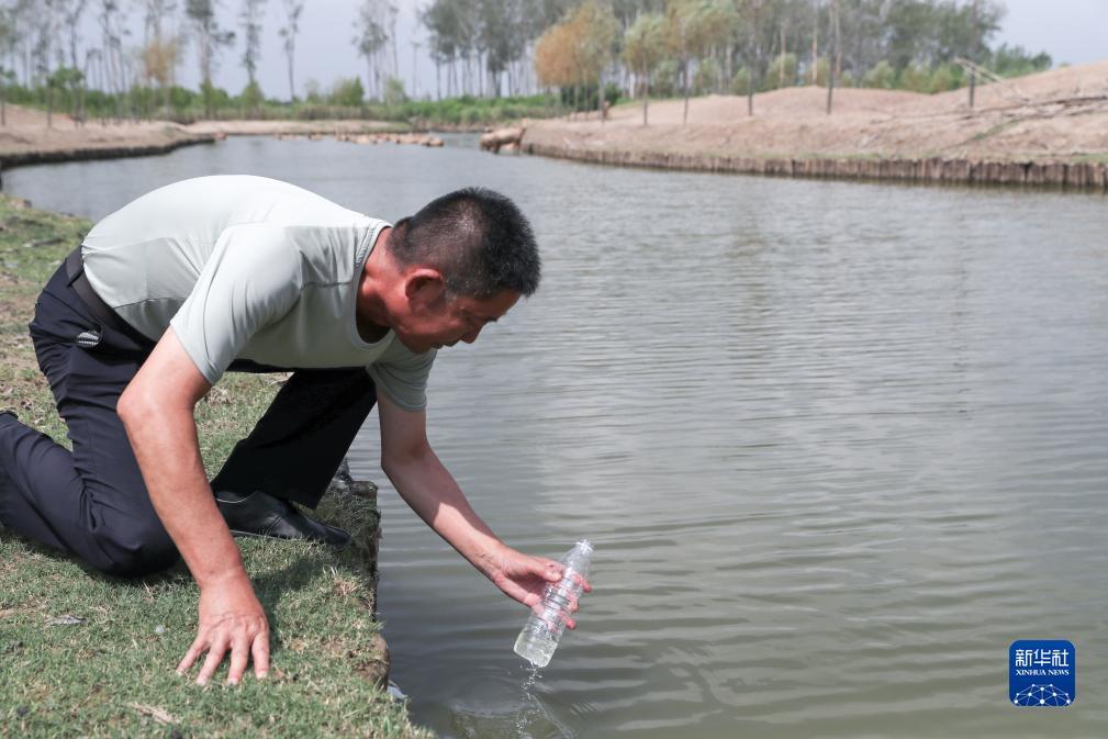 水果机怎么打好下分